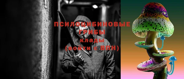 ешки Алексин