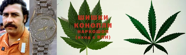 ешки Алексин