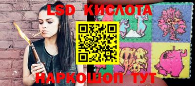 apvp Кунгур
