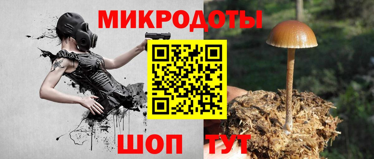 Псилоцибиновые грибы прущие грибы  Вход с VPN  Галлюциногенные грибы GOLDEN TEACHER  Дзержинск 